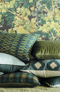 Appetto Mallard Cushion