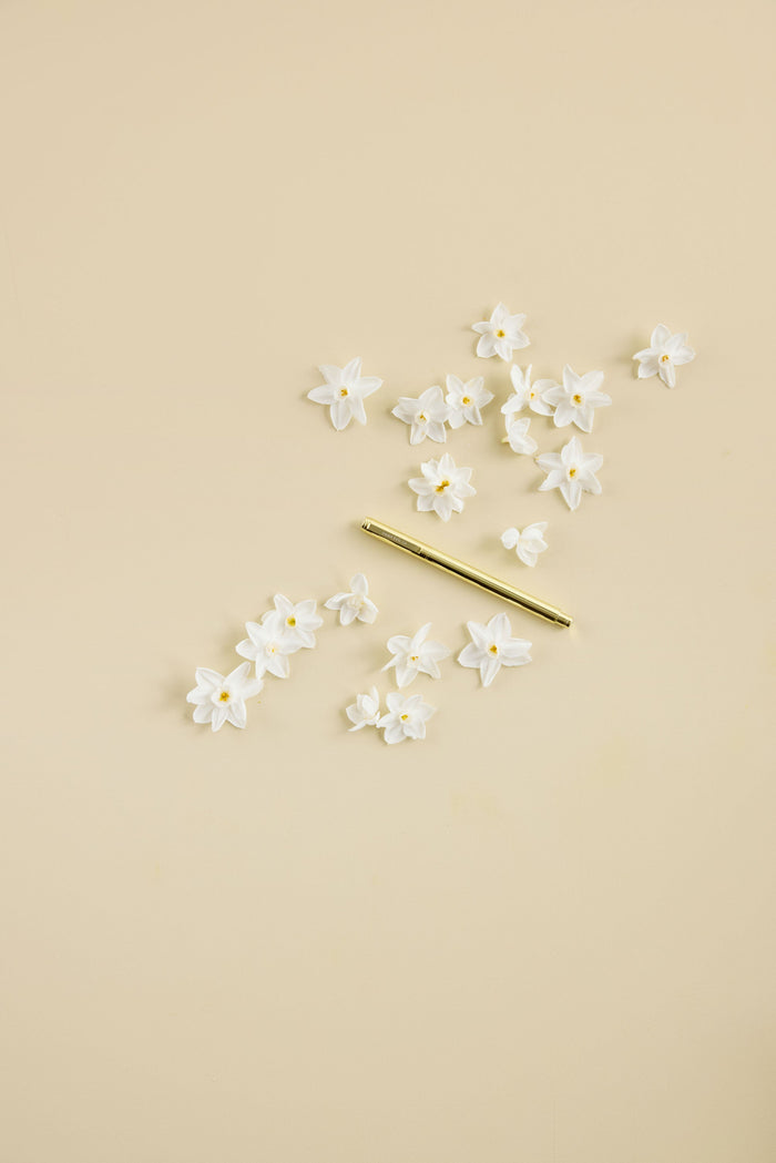 Metal Rollerball Pen - Golden