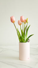 Tulip Ever After - Pink