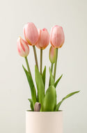 Tulip Ever After - Pink