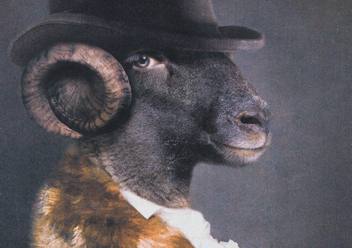 Mlle DE Maupin Portrait