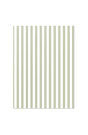 Petite Notebook - Sage Stripe