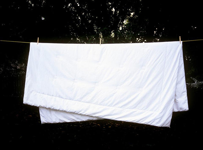 silk filled duvet inner