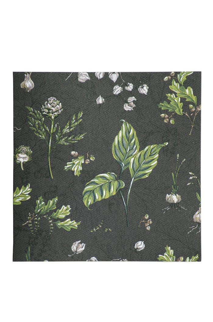 greeting cards set of nine - bianca lorenne original prints