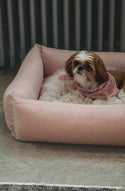 pink chambray pet beds